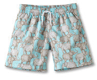 Elephant Swimming Trunks for Boys